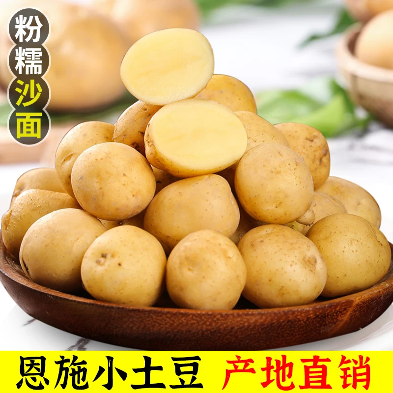 现挖现发恩施小土豆农家种植新鲜洋芋蒸煮好吃细腻粉美味黄心土豆