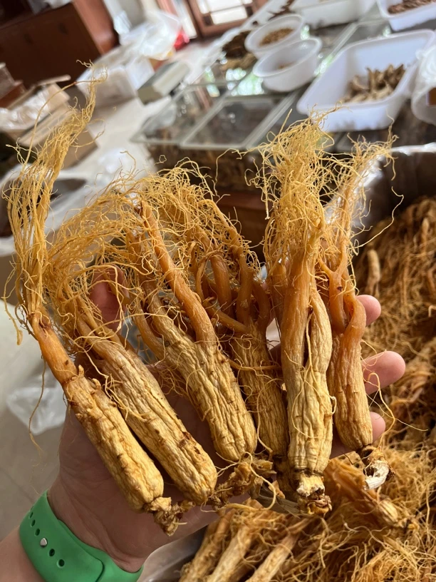 红全须大支 6年红参全须 下山货品种 黄金皮红参