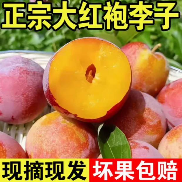潘陶缘脆红李子大红袍李子东北大李子3/4.5斤脱骨干核新鲜水果