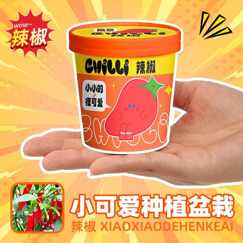 小花农可爱祝福盆栽绿植室内趣味种植桌面春季新品摆件幼儿园礼物