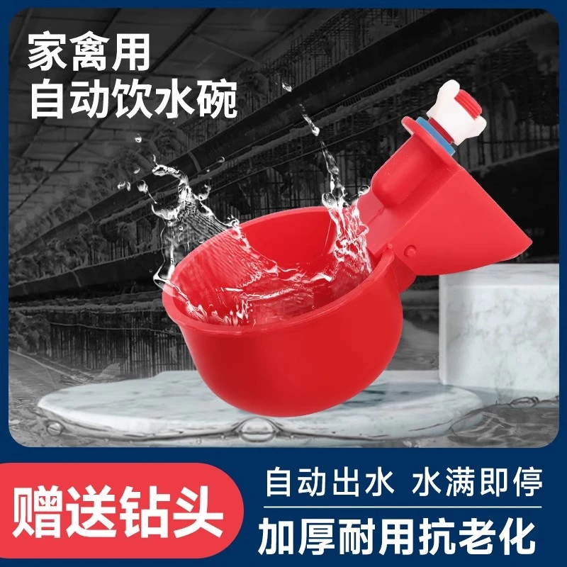 小鸡喝水饮水器喂鸡鸭鸽子用饮水碗雏鸡自动饮水器鹌鹑家禽喂水器