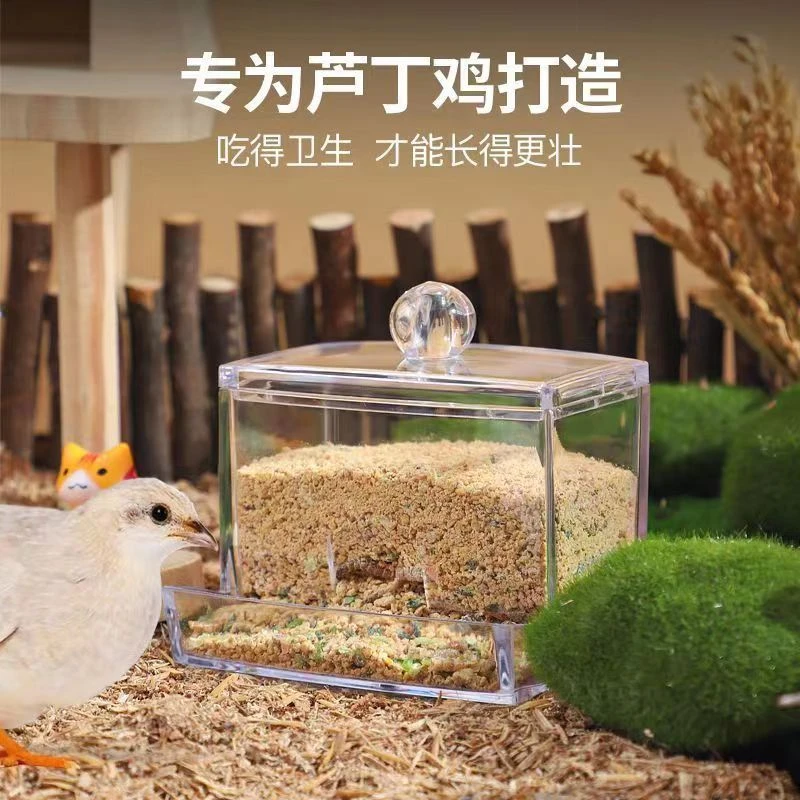 芦丁鸡亚克力喂食器小鸡育雏食槽自动喂水器鹌鹑鸟鹦鹉水壶用品