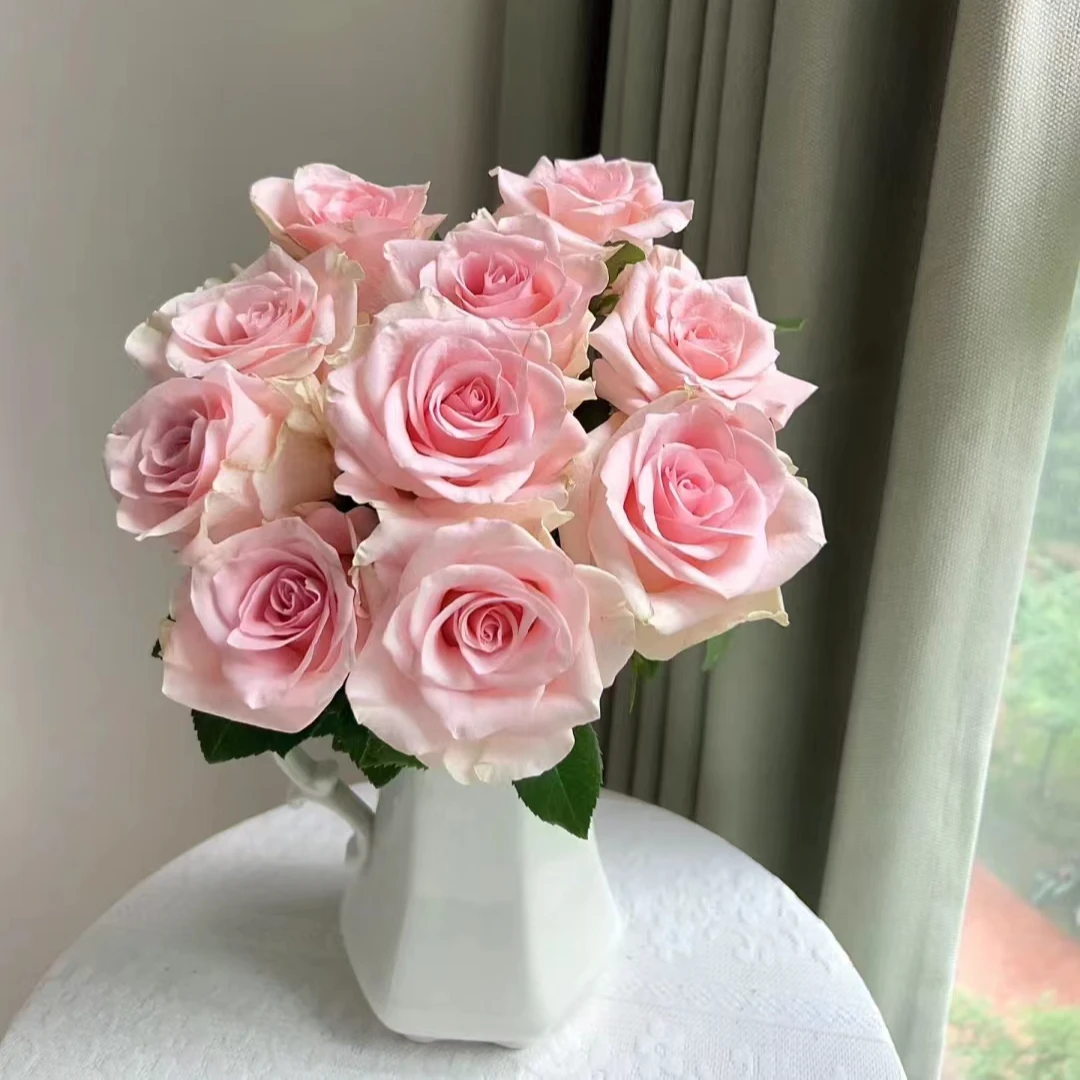 《木兮花卉》鲜切粉爱神