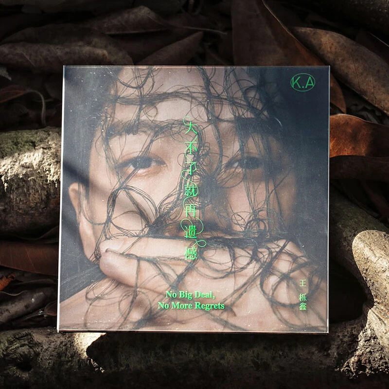 正版 王栎鑫 大不了就再遗憾 CD+歌词本 2019新专辑