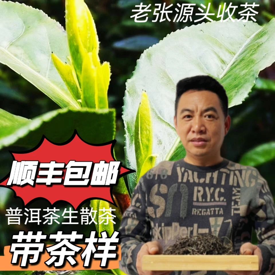茶农389号2022年百花树古树生茶 100g散茶 带茶样 树龄300年左右