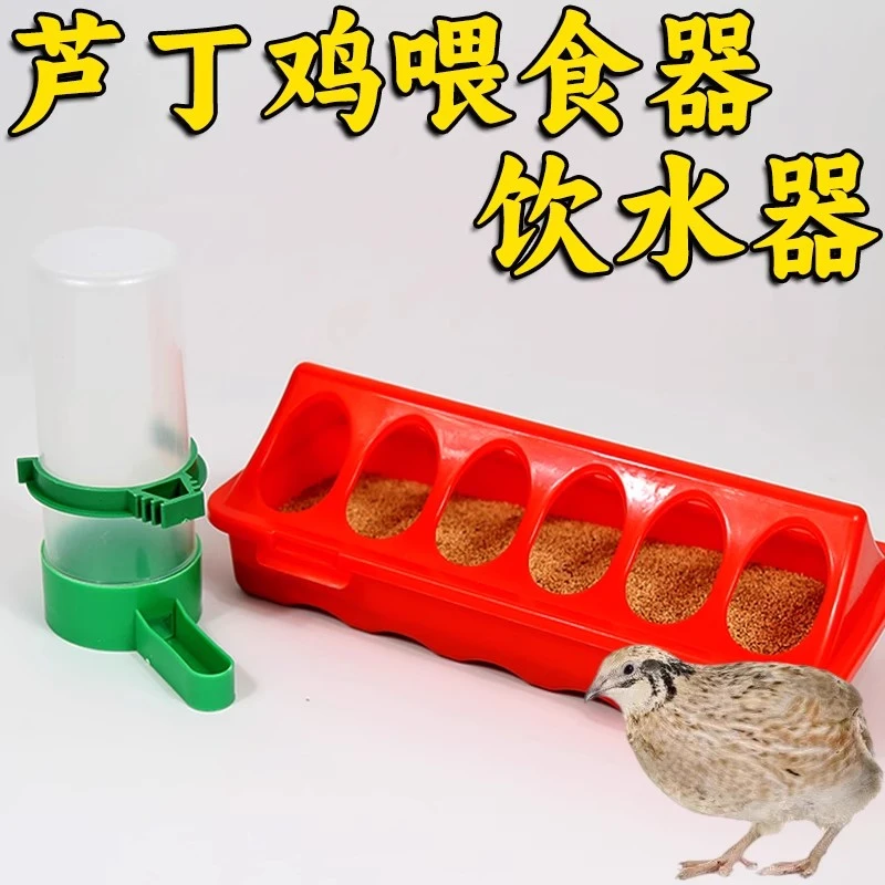 芦丁鸡喂食器饲料盒自动喂水饮水器大容量喝水喂食台食槽食盒专用
