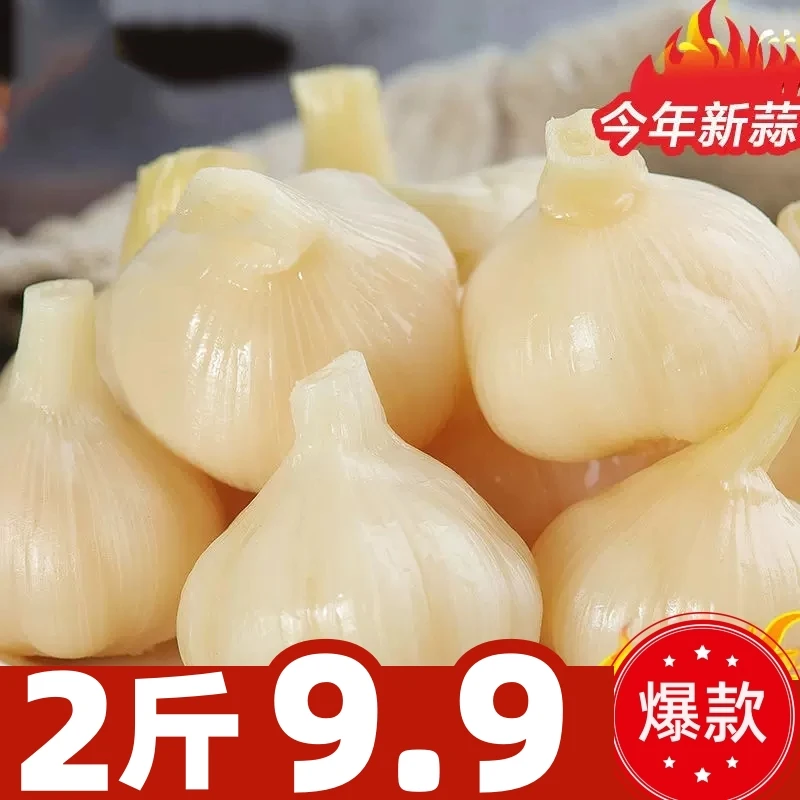 糖蒜正宗糖醋蒜山东蒜头腌制甜蒜泡蒜大蒜头咸下饭菜腊八蒜酱菜