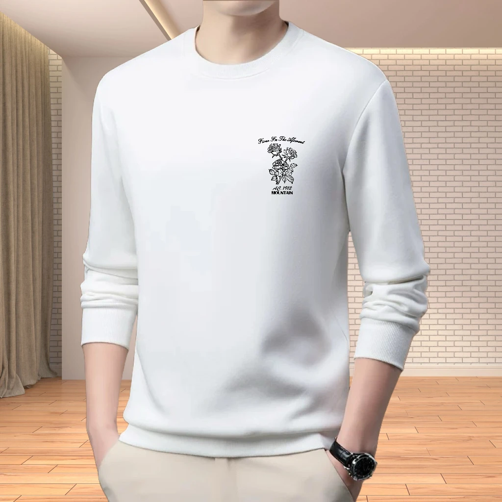 实体店卫衣男2024新款春秋冬季圆领套头大码长袖潮T恤 加绒