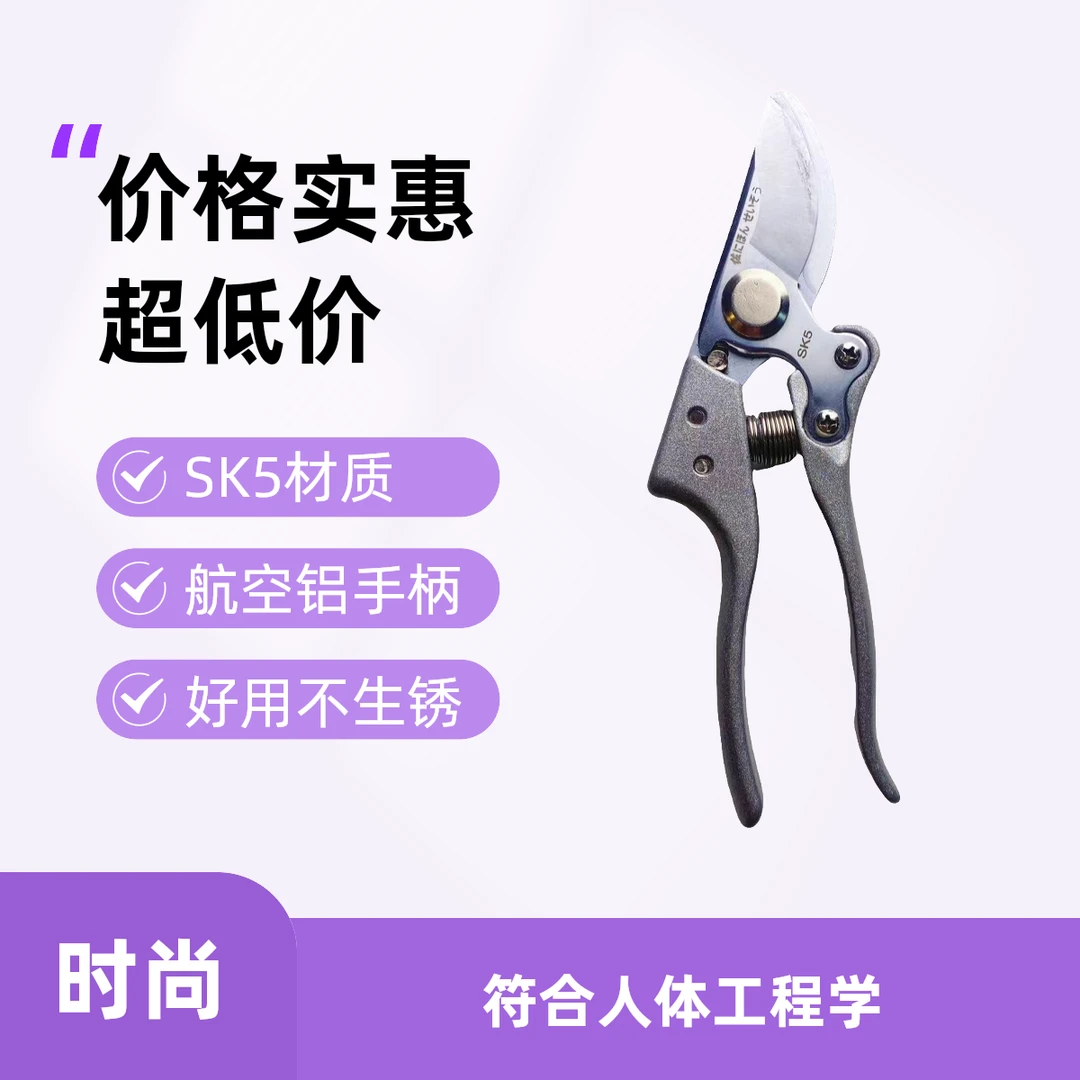 园艺修枝剪园林粗枝剪 深刻时尚嫁接人体花艺省力剪枝树剪果剪