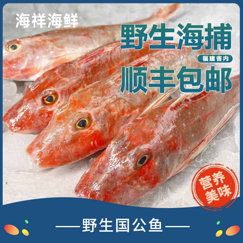 祥芝渔港 野生国公鱼 顺丰包邮
