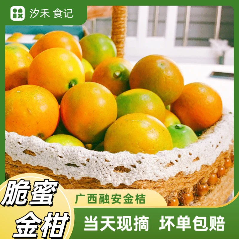 正宗融安金桔＂脆蜜金柑＂尝鲜
