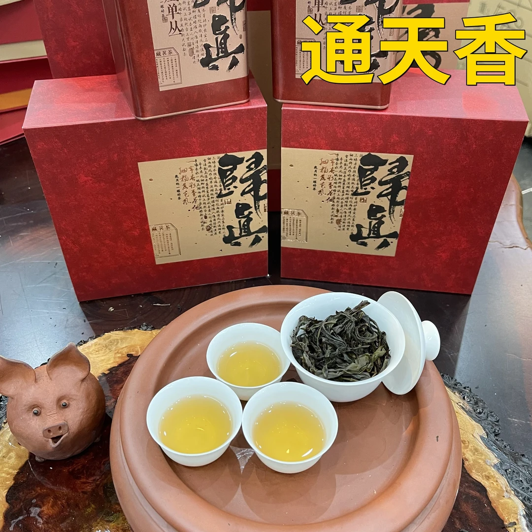 【通天香】欢择茶行凤凰单枞茶通天香饱和顺滑香气浓郁够力香到你惊