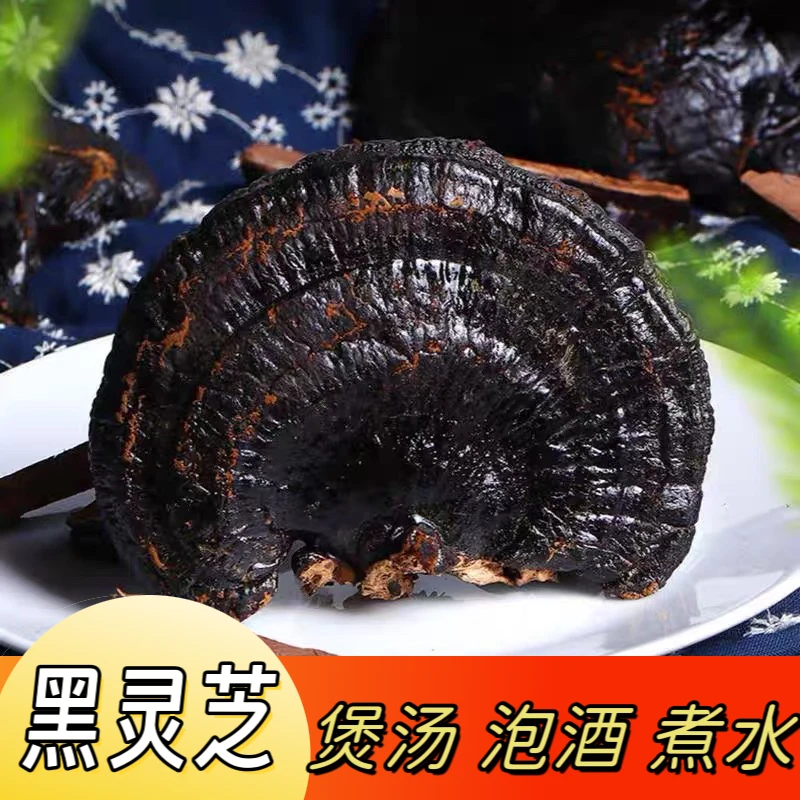 长白山灵芝整枝林下黑灵芝煲汤泡茶煮水泡酒专用干货免洗东北特产