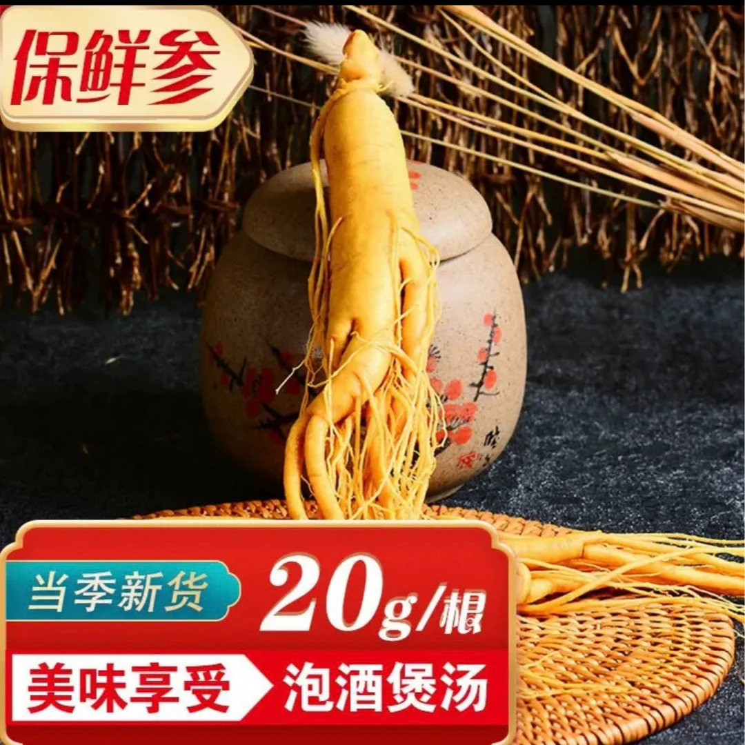 东北长白山保鲜人参泡酒专用人参净重20克特产食用煲汤煮水鲜园参