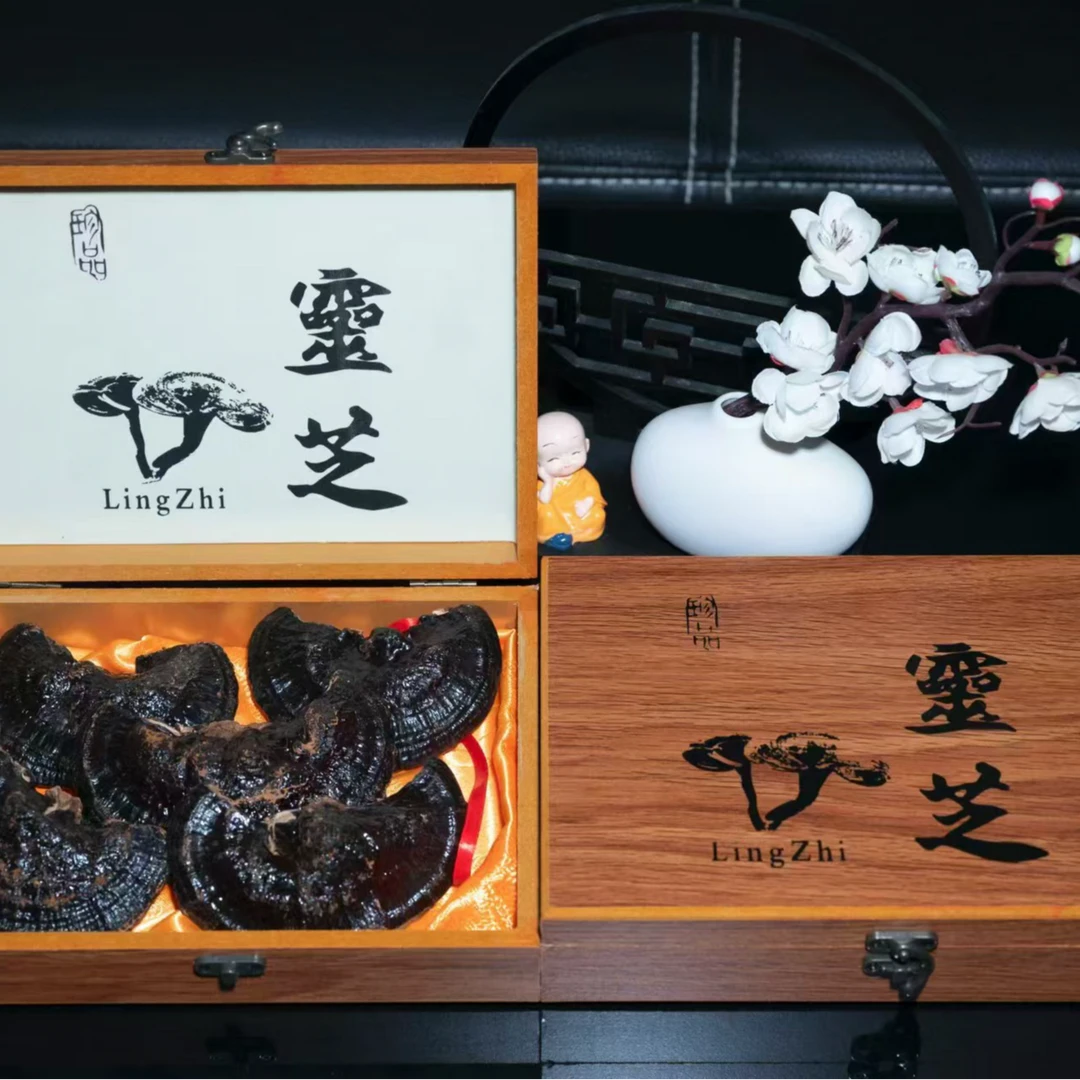 (H2H35889)东北黑灵芝5朵/盒长白山特产滋补泡酒煮水自用送礼