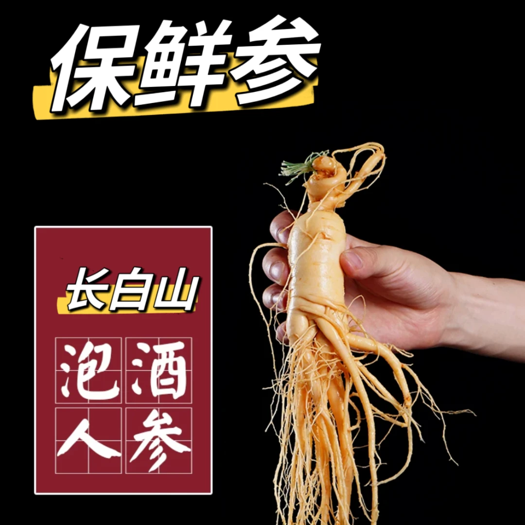 （2根装/单根50克）长白山保鲜人参泡酒保鲜参东北特产