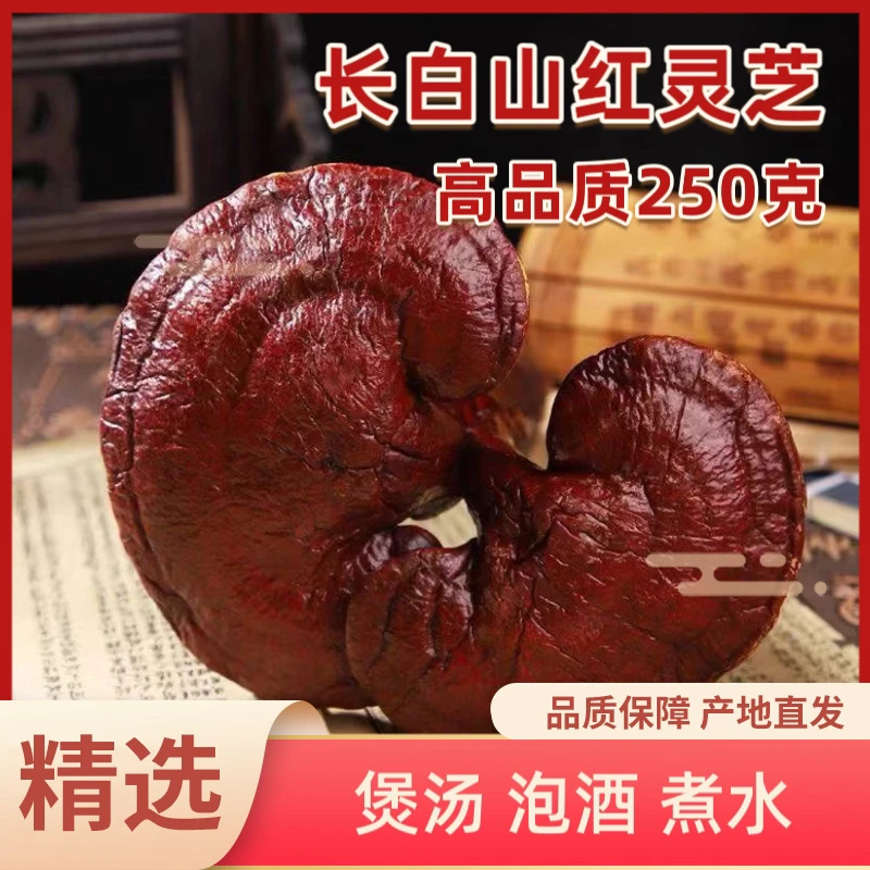 长白山泡酒赤灵芝250克装有根红灵芝整朵免洗泡酒煲汤煮水