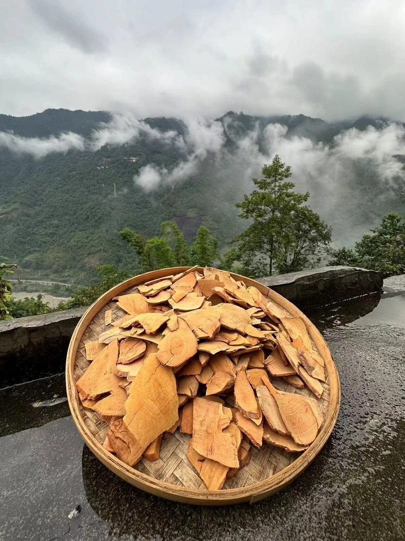 东南亚 【东革阿里】野外生长百年老树根 原片 250g