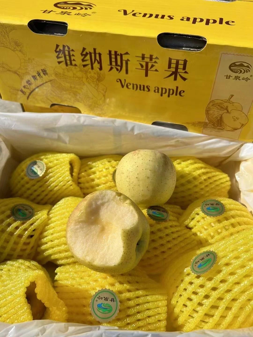维纳斯苹果