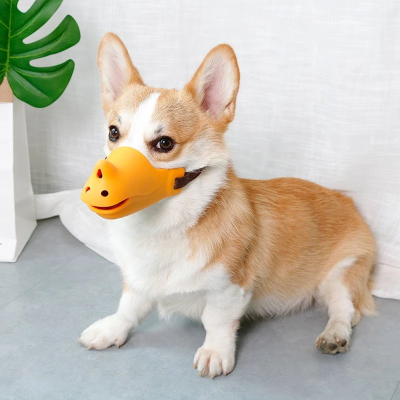 狗狗嘴套柯基小中型犬防舔防咬叫防乱吃狗口罩嘴罩宠物止吠器用品