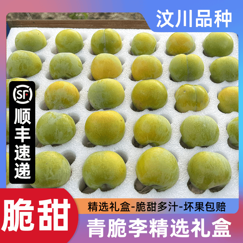 【顺丰冷链-精选礼盒】正宗四川青脆李汶川品种脱骨李子新鲜大水果