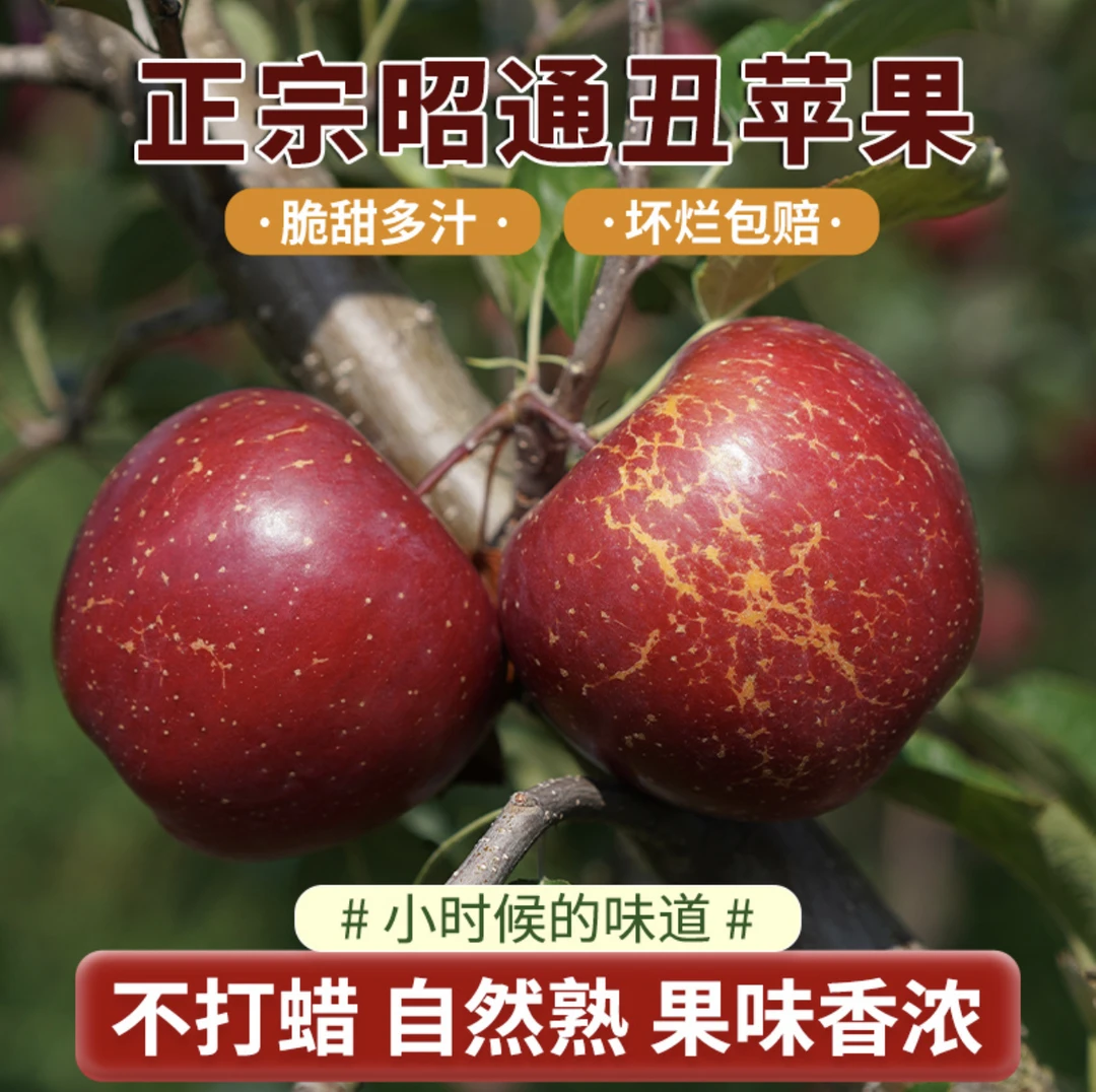 正宗云南昭通丑苹果冰糖心苹果新鲜水果产地直发蛇果大凉山5/9斤