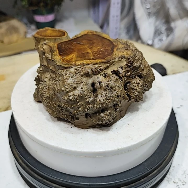 【闪购商品】木头宁****地