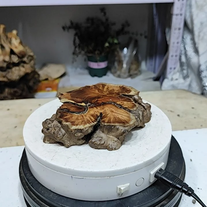 【闪购商品】木头．*哥