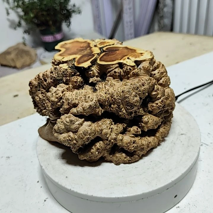 【闪购商品】木头用****2
