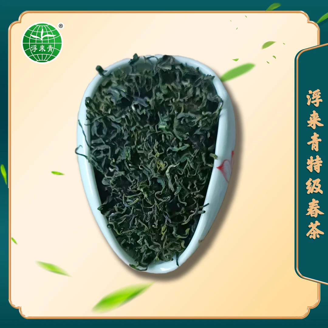 浮来青日照绿茶 浮来青特级春茶