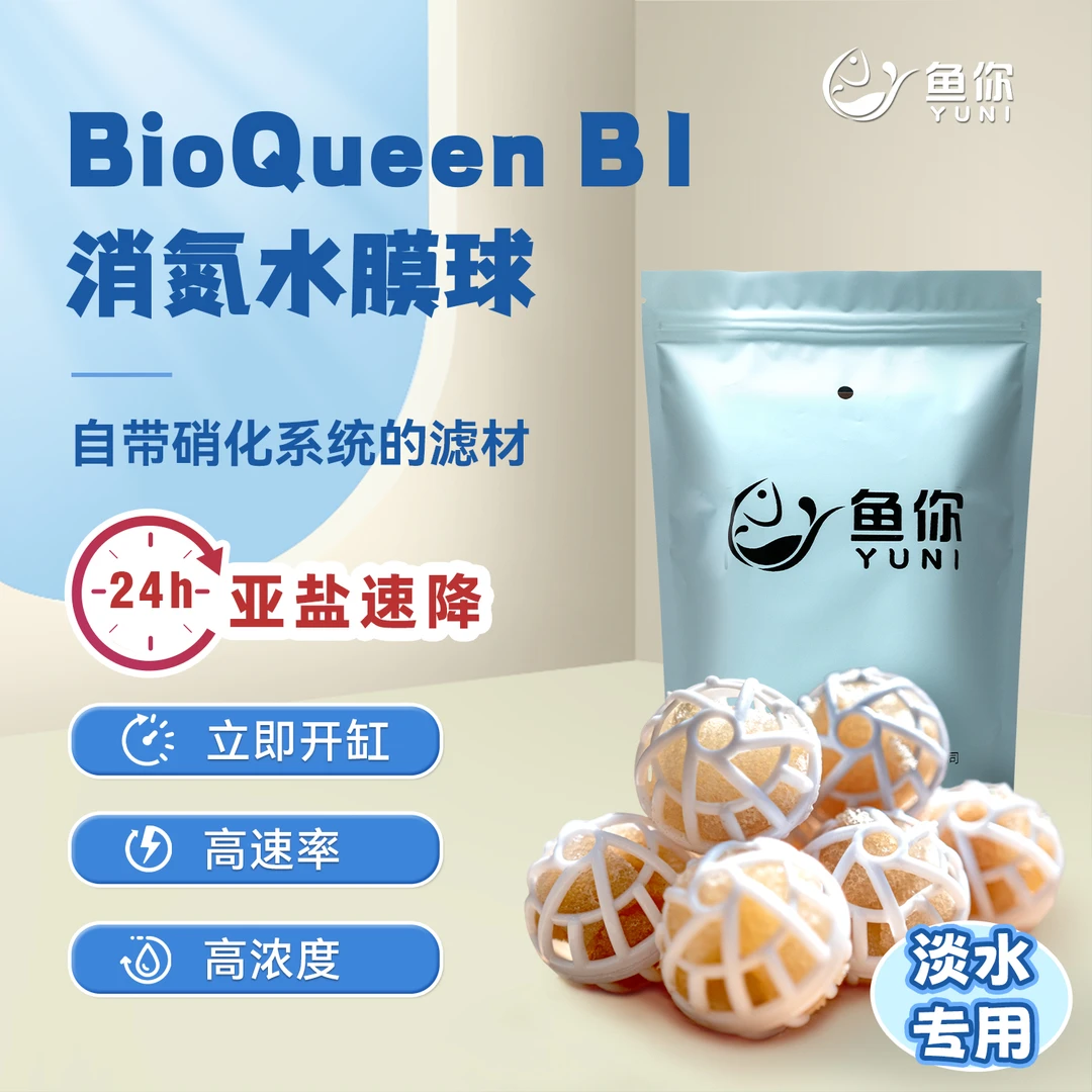 水之国消氮预覆膜水膜球培好的硝化系统鱼缸用快速降氨氮亚盐硝化