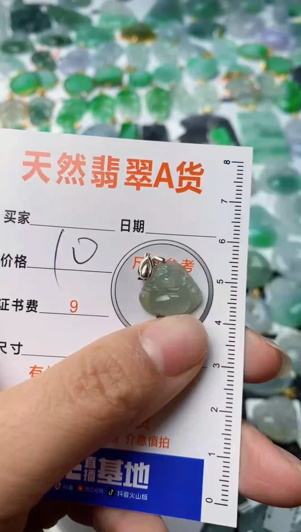 【闪购商品】翡翠颈饰银S925镶嵌1