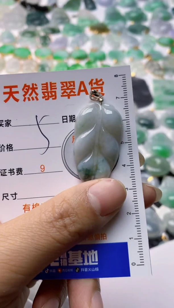 【闪购商品】翡翠颈饰银S925镶嵌1