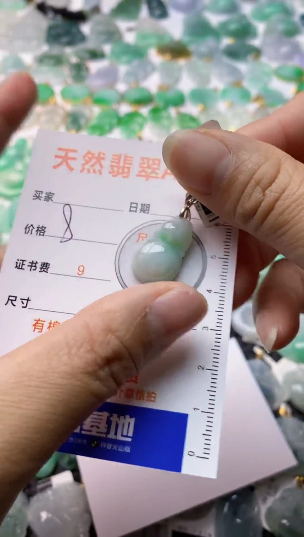 【闪购商品】翡翠颈饰银S925镶嵌1