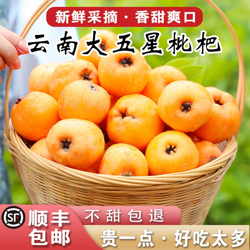 【顺丰包邮】云南大五星枇杷新鲜当季孕妇水果甜琵琶批杷鲜果3/5斤