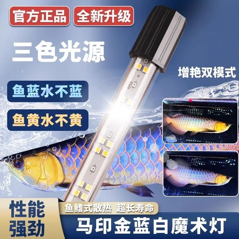 马印神灯古典金龙雷龙专用灯金蓝白灯水族专用灯鱼缸灯防水魔术灯