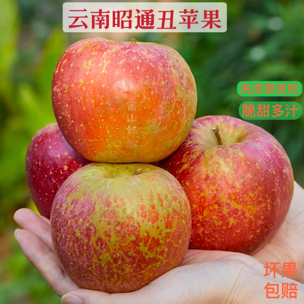 云南昭通苹果新鲜甜蜜丑苹果产地直发新鲜采摘脆甜多汁整箱包邮