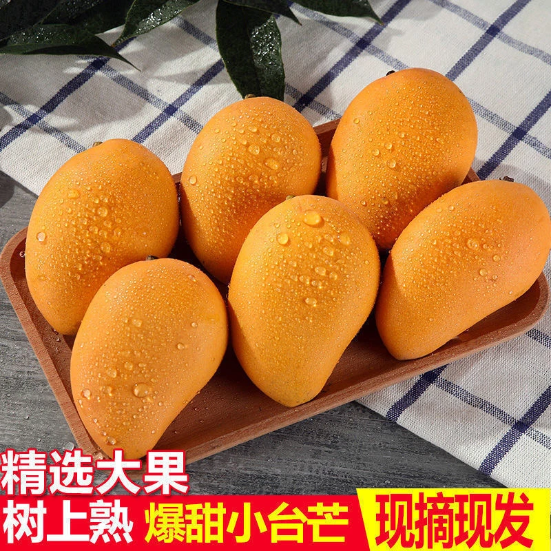 【达人专属】精选当季小台农海南孕妇芒果小台农芒树上熟新鲜采摘