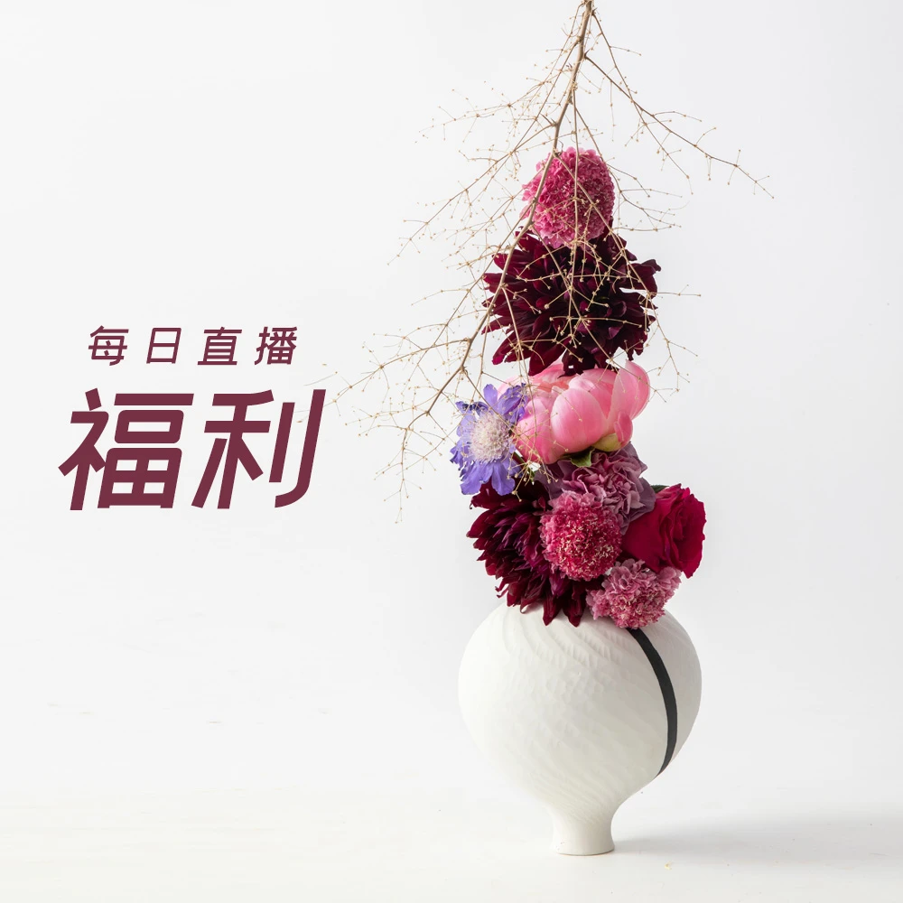 福利专场【 1 】-花瓶摆件