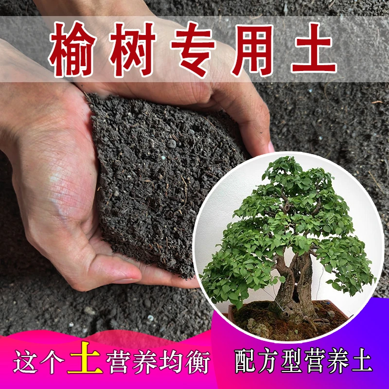 榆树专用土绿植通用营养土有机土盆栽土园艺种植土家用土盆景土壤