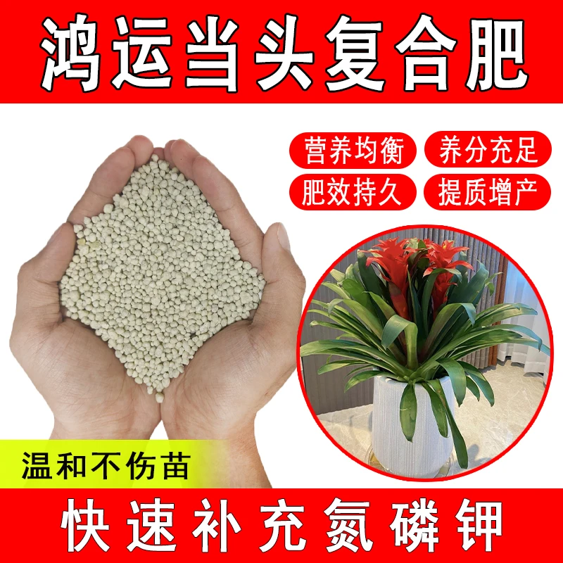 鸿运当头复合肥养花专用氮钾缓释肥有机肥颗粒化肥促花花卉通用