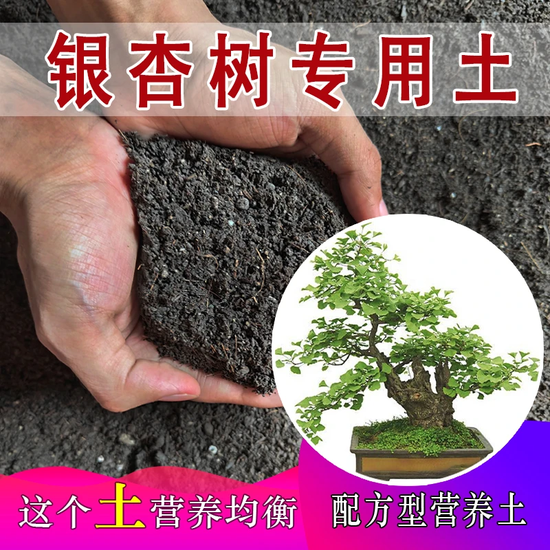 银杏树专用土银杏树专用营养土盆栽土养花种花土通用种植土壤肥料