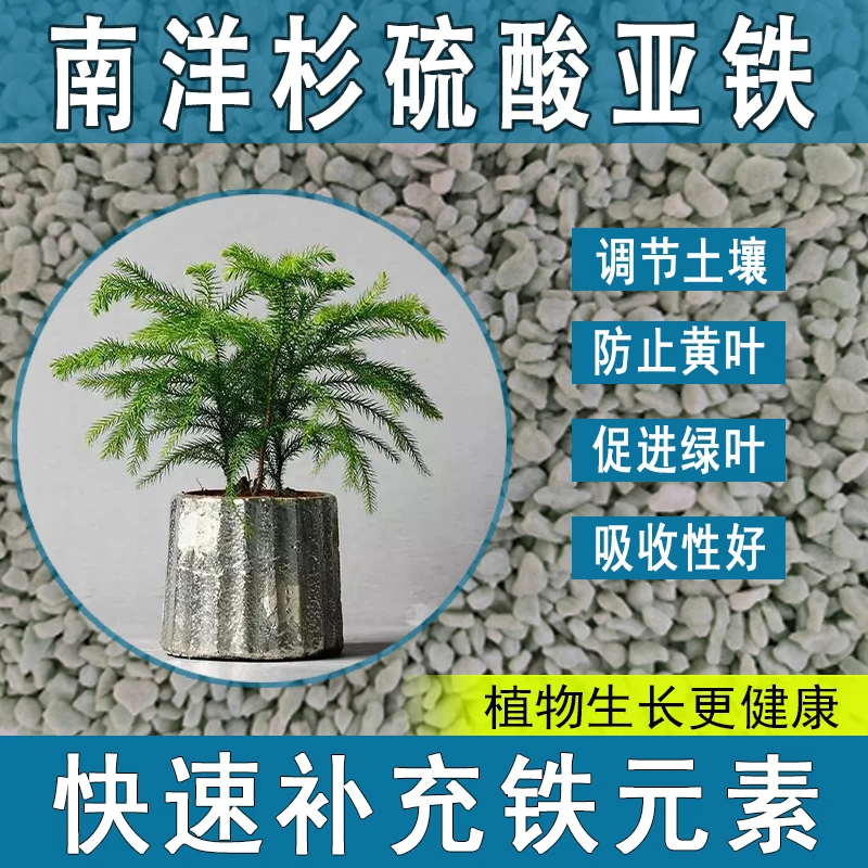 南洋杉硫酸亚铁花肥料养花绿植通用调节生长喜酸植物专用肥促生根