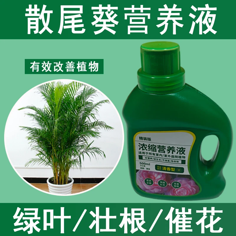 散尾葵营养液通用型散尾葵专用营养液花肥绿植水培植物肥料治黄叶