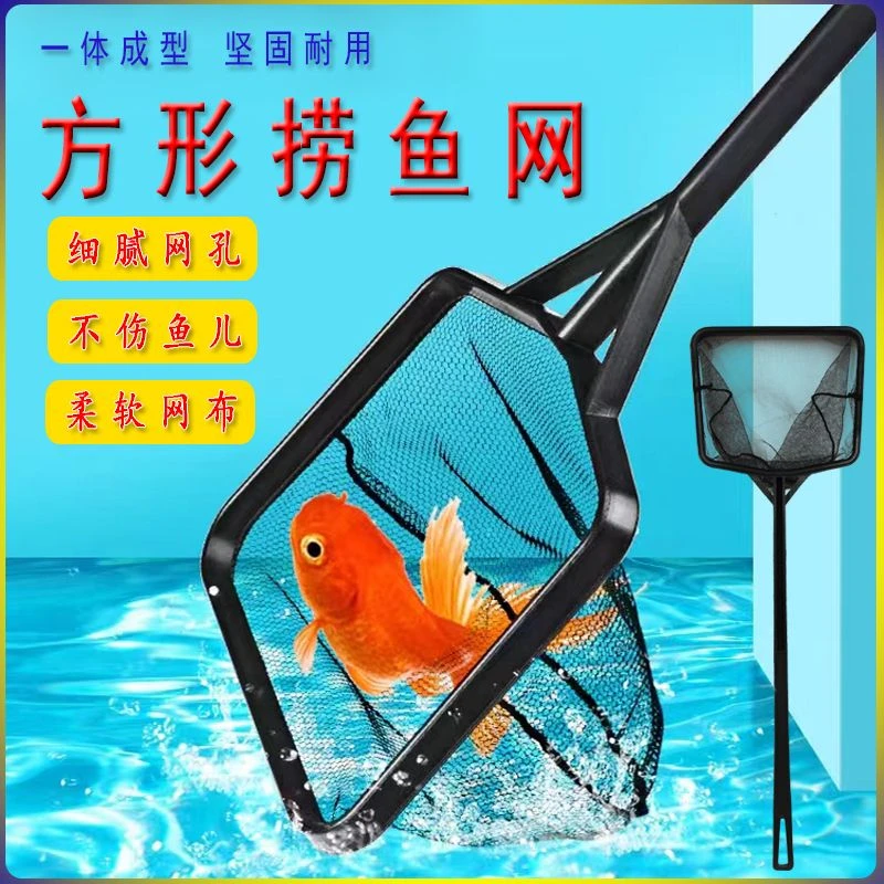 鱼缸捞鱼网兜家用抄网捞鱼小鱼小虾小鱼捞捕鱼网工具大小号超密孔