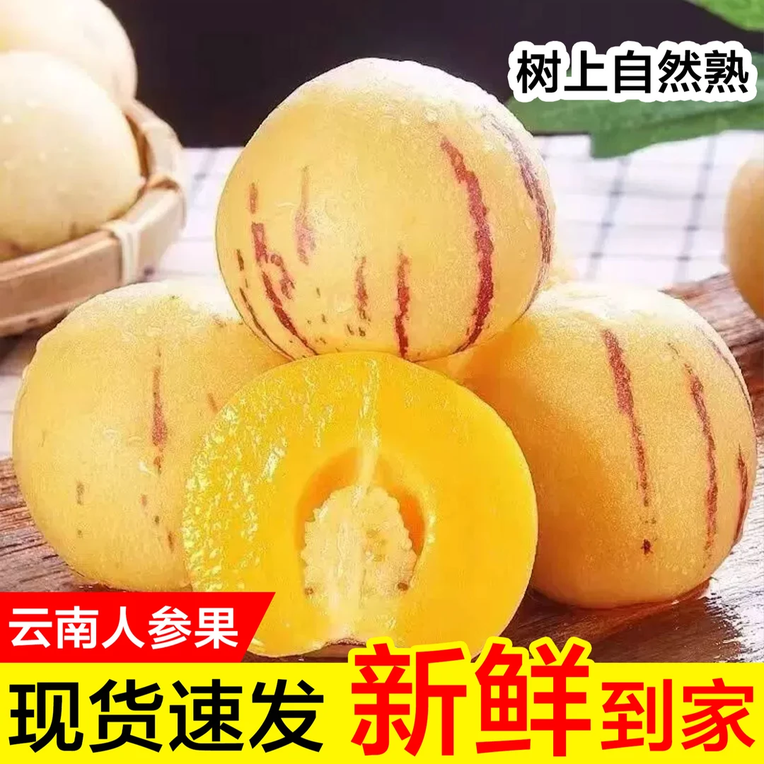 云南石林树熟人参果4.5-5斤清甜多汁坏果包赔TC