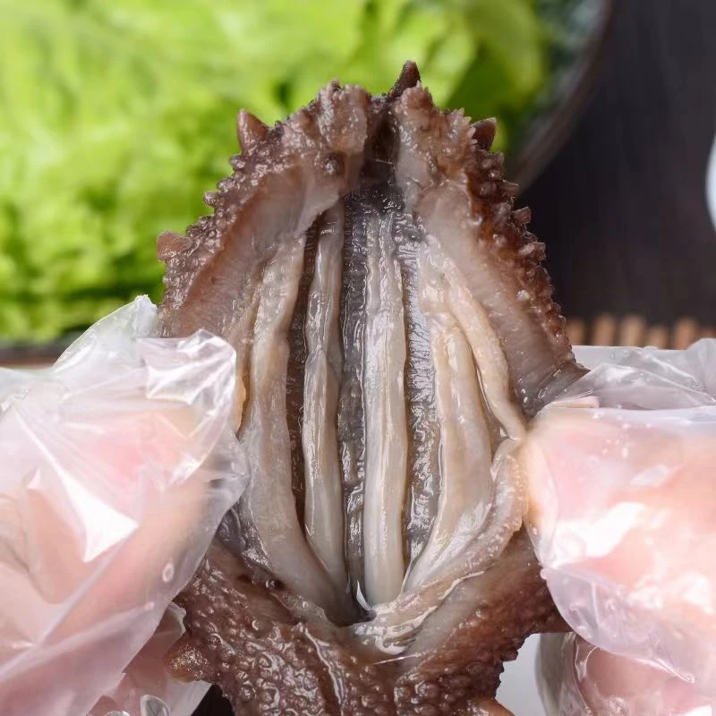 6-8头 500g 冷蒸即食海参新滕海精选海参 品质保证