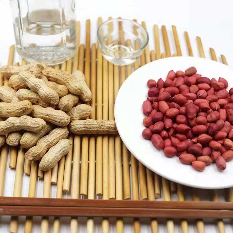 农家原味铁锅柴火炒花生24年熟花生带壳柴火现炒现发手工炒货坚果