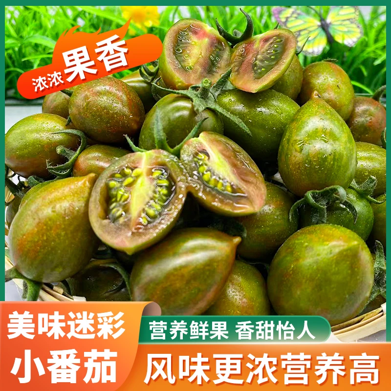 迷彩小番茄鱼禾水西红柿直供产地多汁酸甜天然种植自然采摘口感