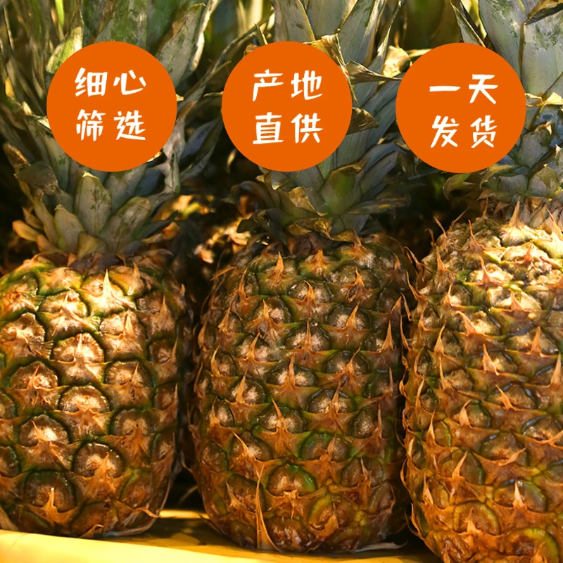 【邮政助农】2颗装甄选优质菲律宾进口凤梨美味多汁单颗1200g